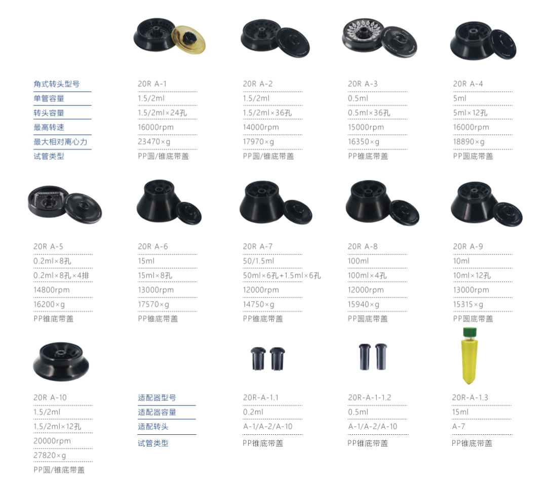 1636690881175981.jpg 20R.jpg